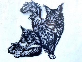 INT59 - Chats Menkouns
